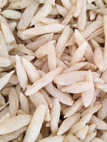 麦冬果